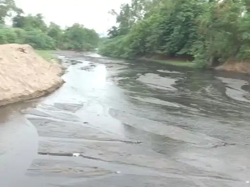 एनसीएल दुधीचुआ खदान पर 88 लाख की क्षतिपूर्ति का प्रस्ताव:सिंगरौली के बलिया नाला में प्रदूषण फैलाने पर कार्रवाई की सिफारिश
